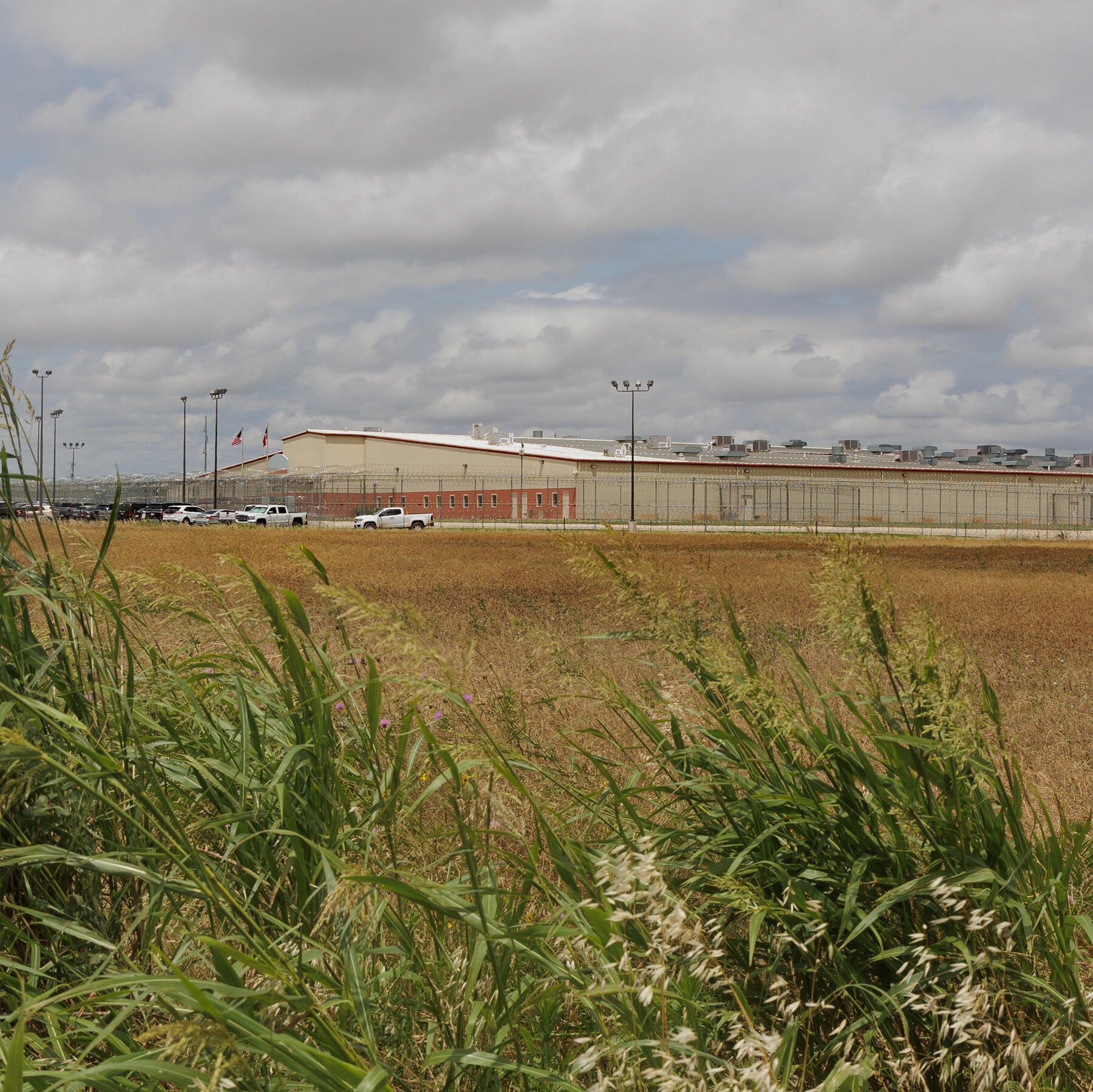 A long, low building with a white roof stands behind razor-wire fencing beyond a field of tall grass, pickup trucks parked out front under a cloudy sky.